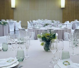 Bodas  Vincci Zaragoza Zentro Zaragoza